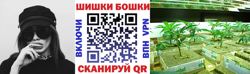 Все наркотики Курчатов COCAIN  МЕФ  АМФЕТАМИН  kraken ССЫЛКА  Гашиш  Канабис 
