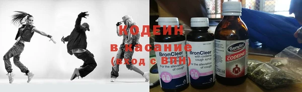 индика Армянск