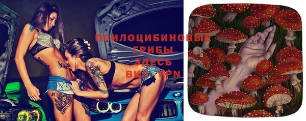 прущие крисы Пестово
