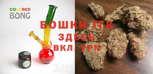 индика Армянск