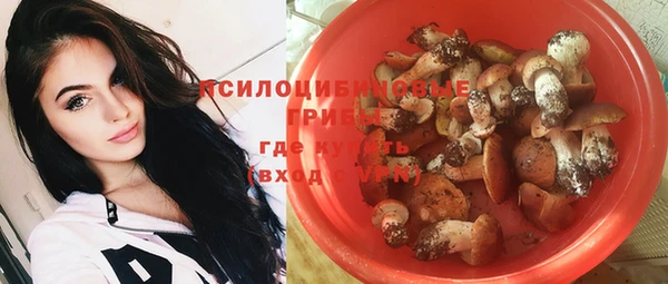 индика Армянск